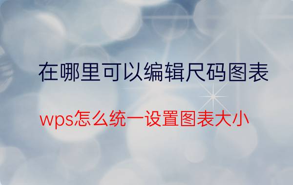 在哪里可以编辑尺码图表 wps怎么统一设置图表大小？